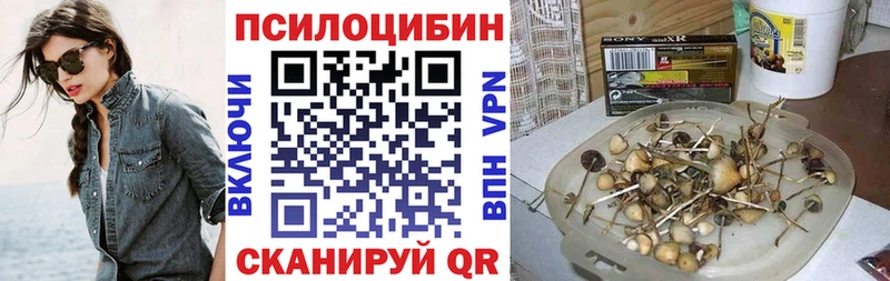Галлюциногенные грибы Psilocybe  купить наркоту  Ельня 